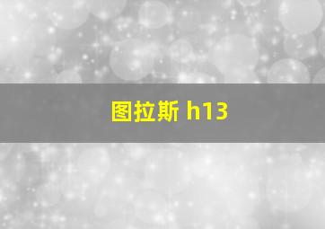 图拉斯 h13